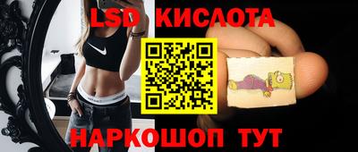 наркотики Сланцы