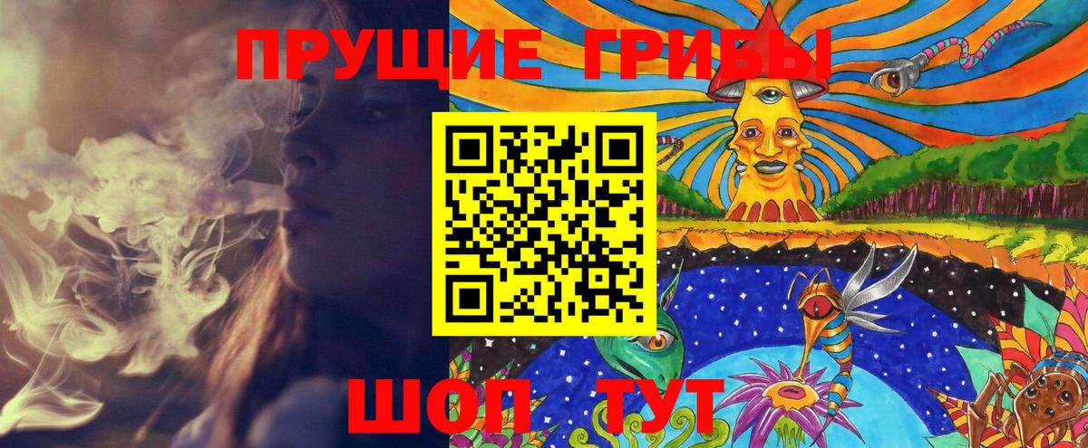Псилоцибиновые грибы мухоморы Новодвинск
